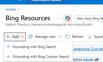 Add Bing Grounding