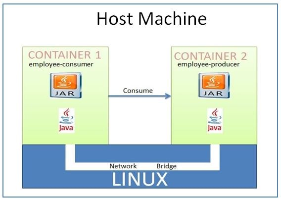Docker Networking Service