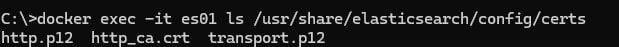 Elasticsearch 8 docker exec