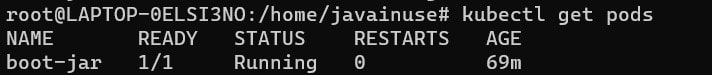 spring boot + minikube tutorial- check pod status