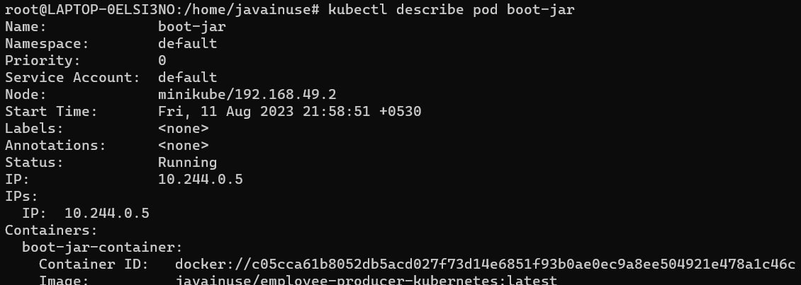 spring boot + minikube tutorial- describe pod