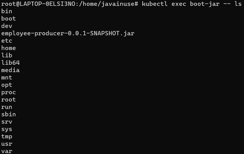 spring boot + minikube tutorial- kubectl exec ls