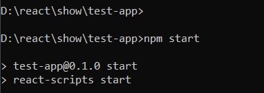 npm start