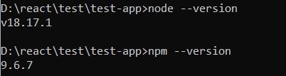 nodejs and npm version